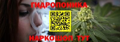 СК Кандалакша